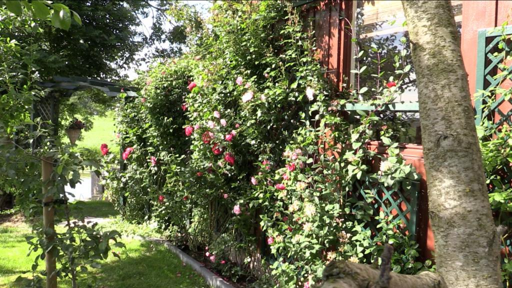 B & B Zazza Raerd Bagian luar foto